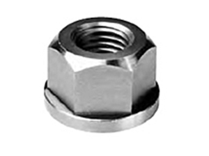 Stainless Steel Flange Nuts