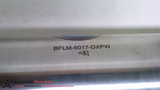 BIMBA BFLM-5017-DXPW, AIR CYLINDER, LINE ROD LOCK, BORE SIZE: 2-1/2